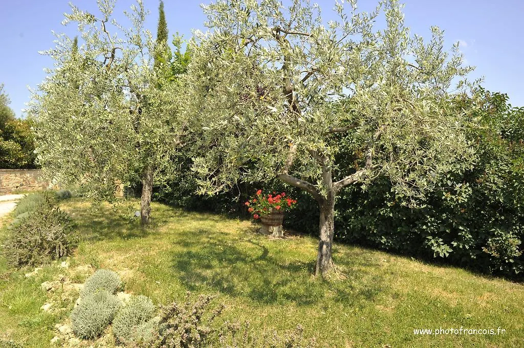Agriturismo Il Sasso Montepulciano